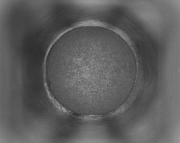 X0000074971008200609221818