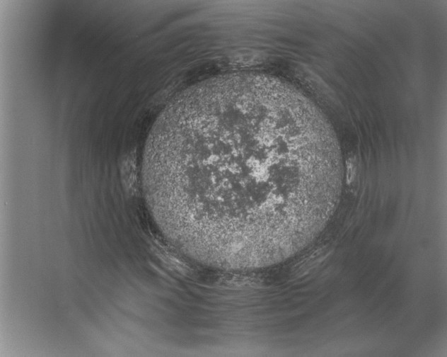 X0000074971011200609221817