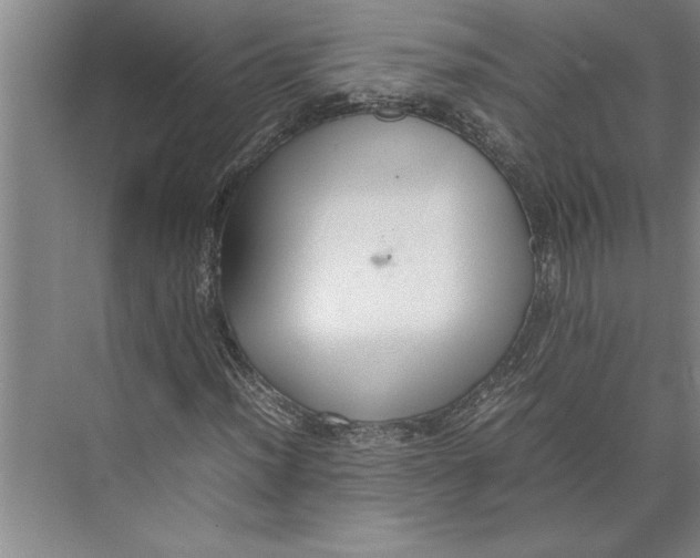 X0000074971012200609221817