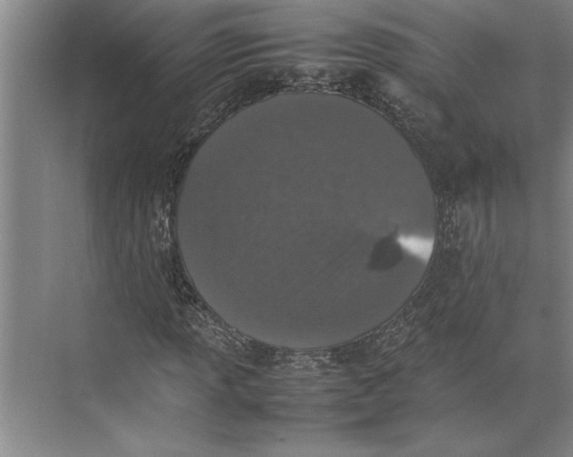 X0000074971013200609221817