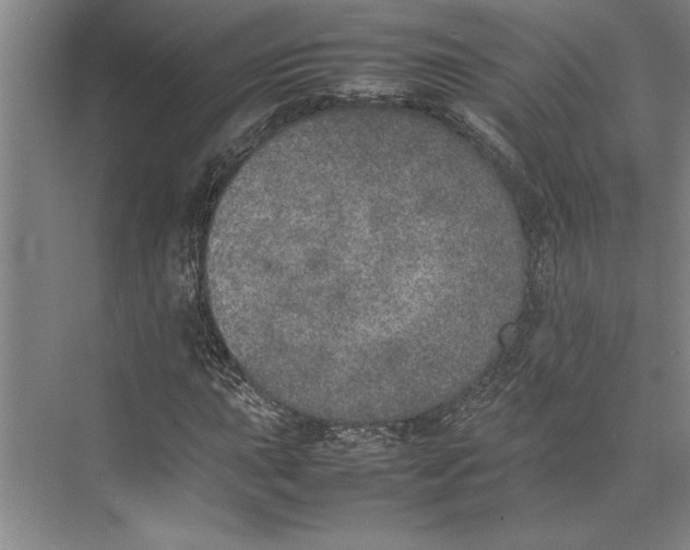 X0000074971015200609221817