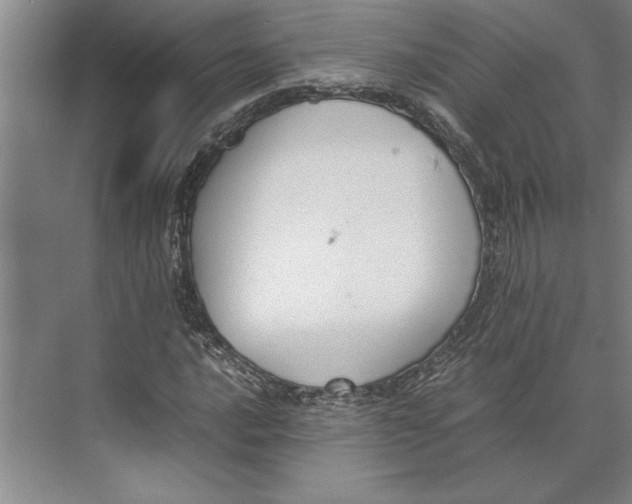 X0000074971016200609221817