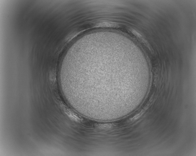 X0000074971017200609221817