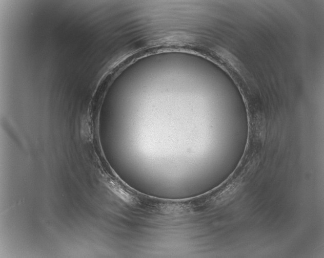 X0000074971018200609221817