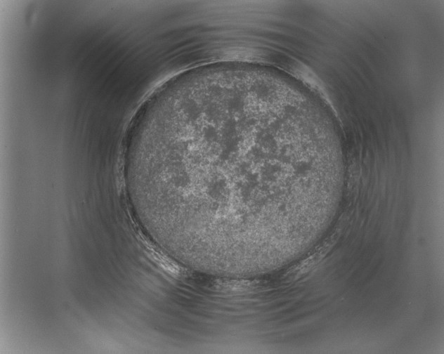 X0000074971019200609221817