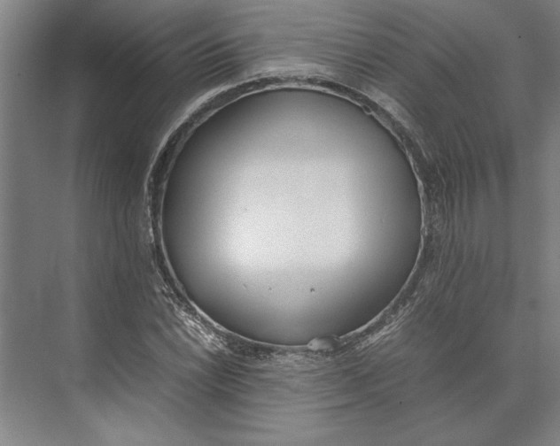 X0000074971022200609221817