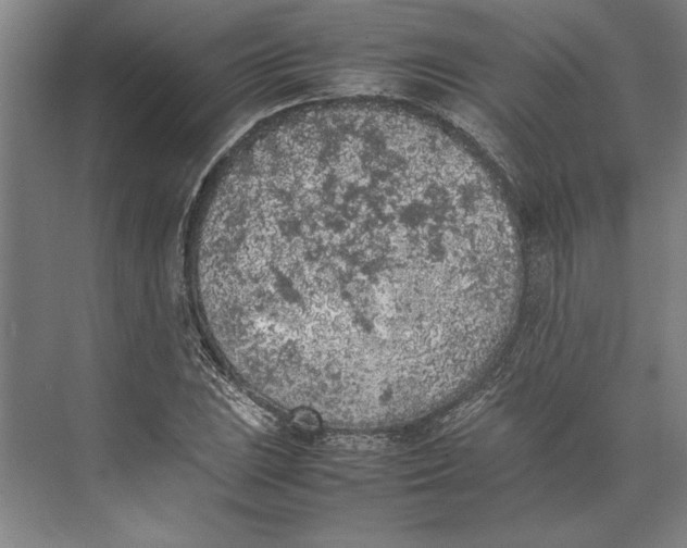 X0000074971023200609221817