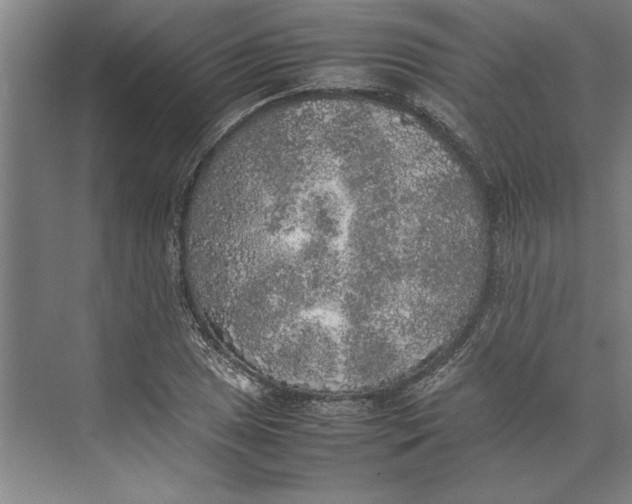 X0000074971025200609221817