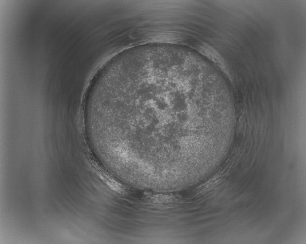 X0000074971027200609221817