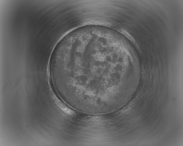 X0000074971028200609221817