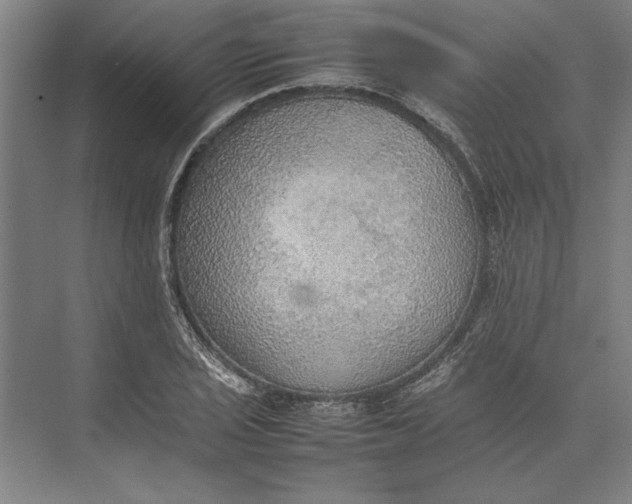 X0000074971029200609221817