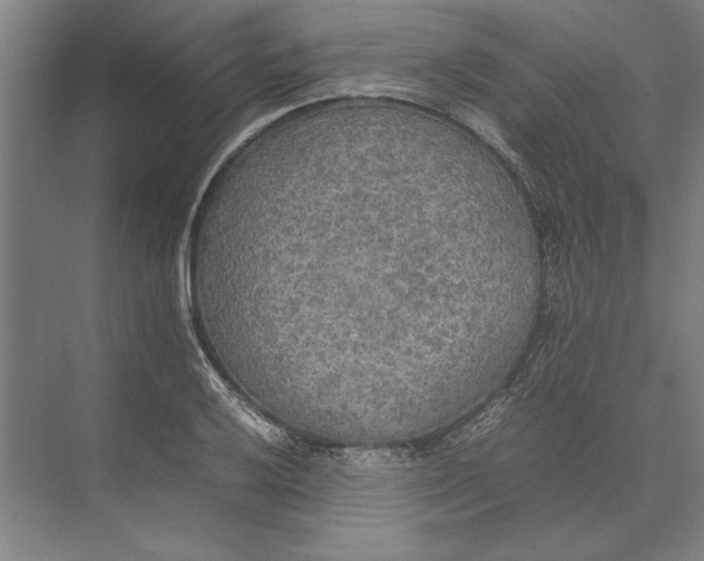 X0000074971032200609221818