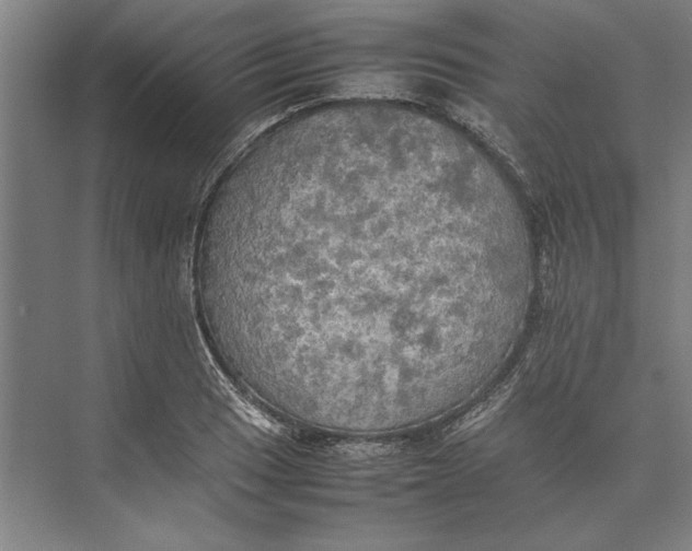 X0000074971033200609221818