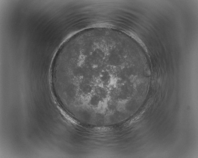 X0000074971037200609221818