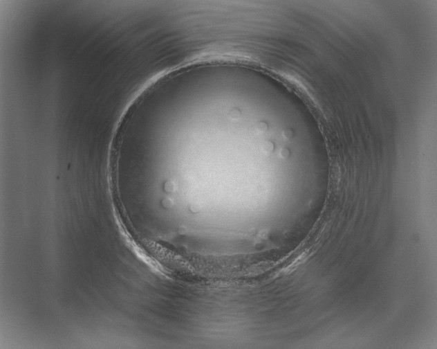 X0000074971038200609221818