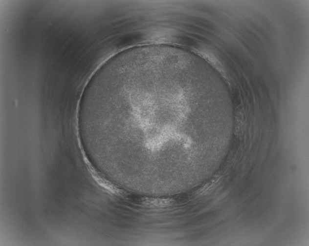 X0000074971039200609221818