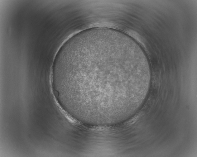 X0000074971040200609221818