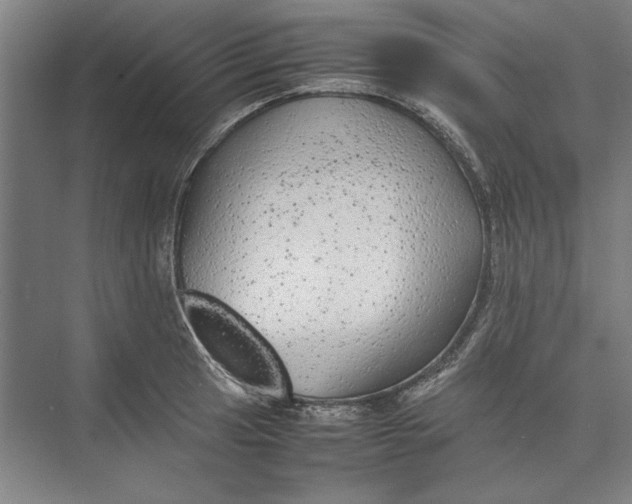 X0000074971041200609221818