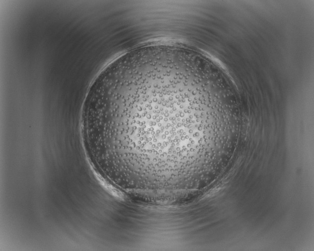 X0000074971042200609221818