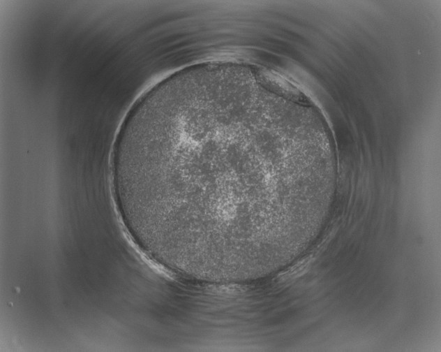 X0000074971045200609221818