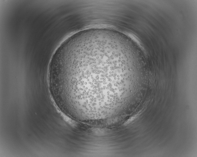 X0000074971046200609221818