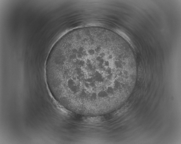 X0000074971047200609221818