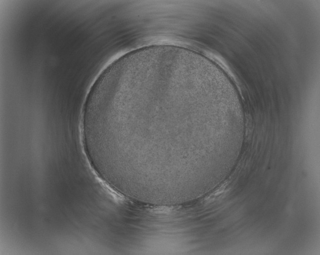 X0000074971048200609221818