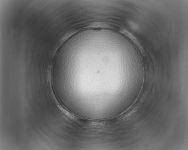 X0000074971049200609221818