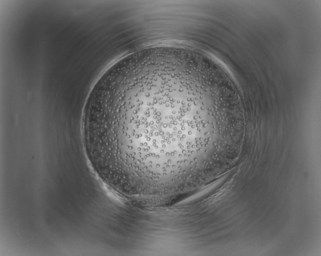 X0000074971050200609221818