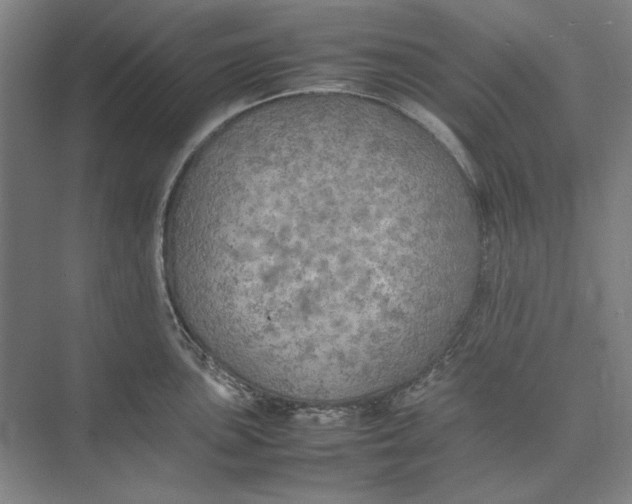 X0000074971051200609221818