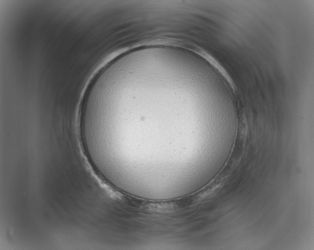 X0000074971053200609221818