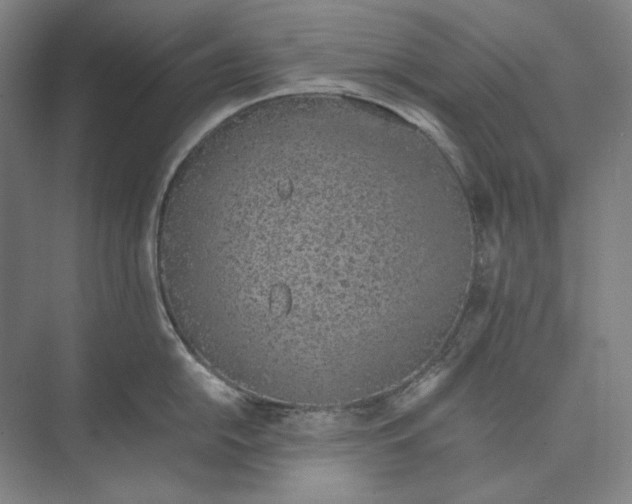 X0000074971054200609221818