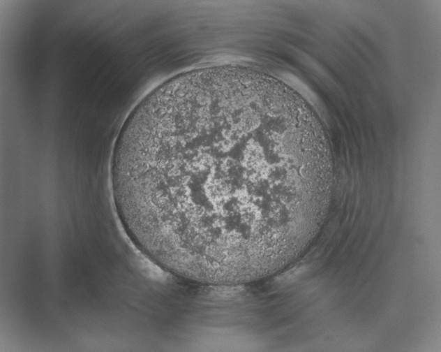 X0000074971055200609221818