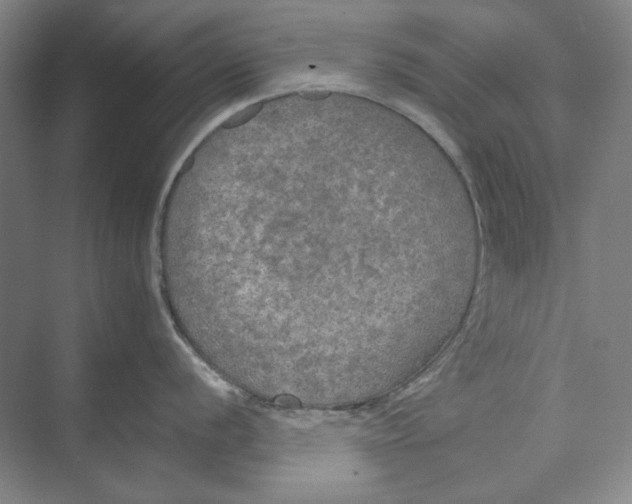 X0000074971056200609221818