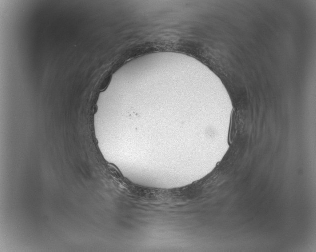 X0000074971057200609221817