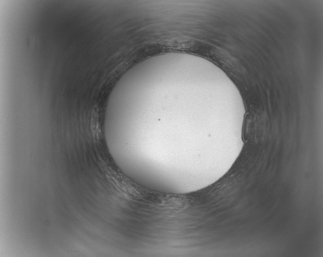 X0000074971058200609221817