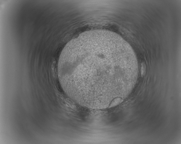 X0000074971059200609221817