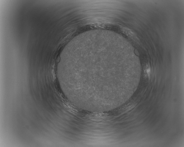 X0000074971060200609221817