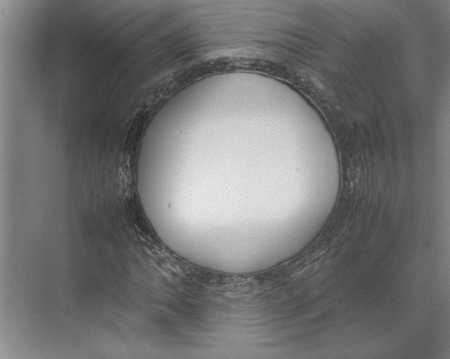 X0000074971062200609221817