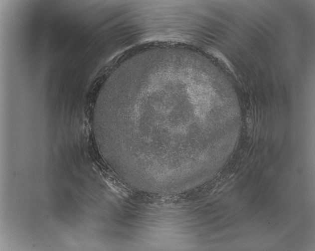 X0000074971064200609221817