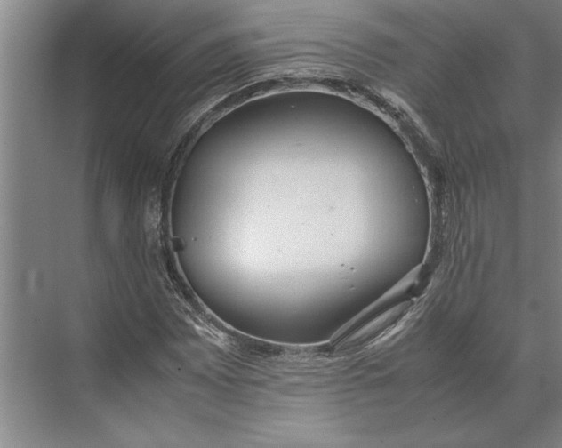 X0000074971065200609221817