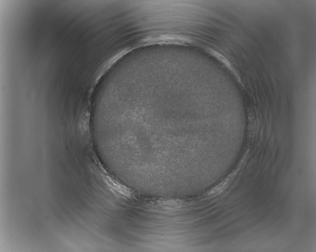 X0000074971066200609221817