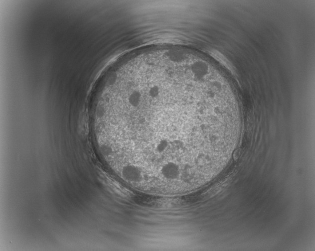 X0000074971067200609221817