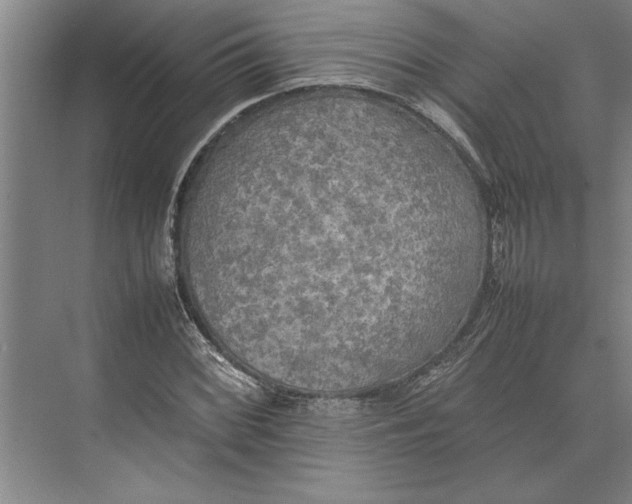 X0000074971068200609221817