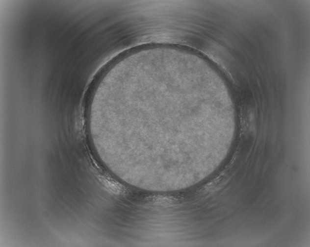 X0000074971070200609221817