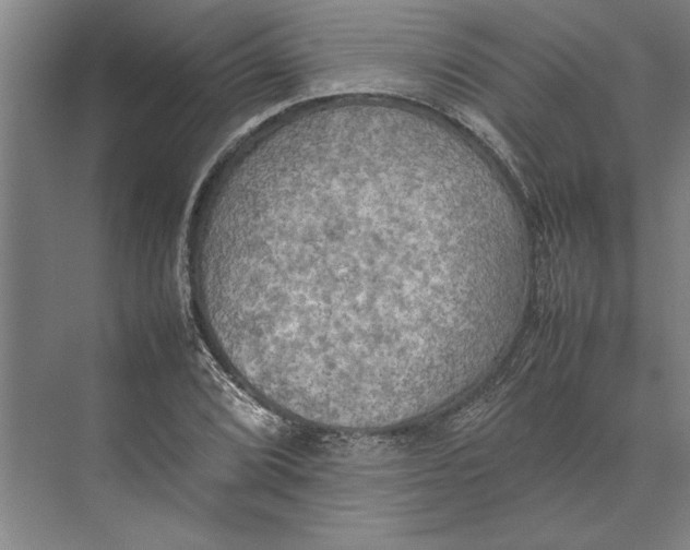 X0000074971072200609221817