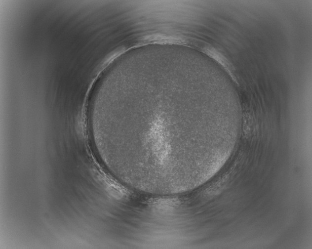 X0000074971074200609221817