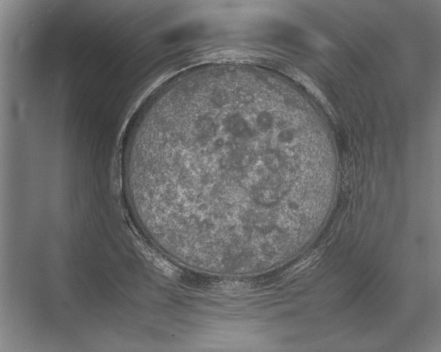 X0000074971075200609221817