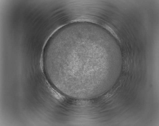 X0000074971076200609221817