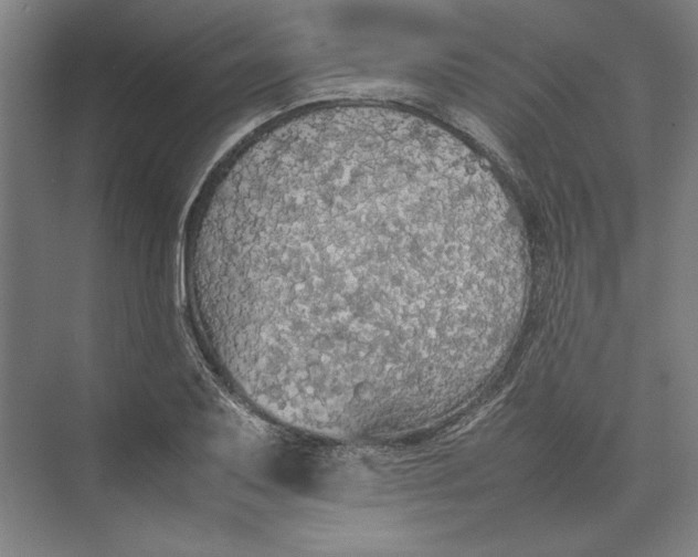 X0000074971079200609221817